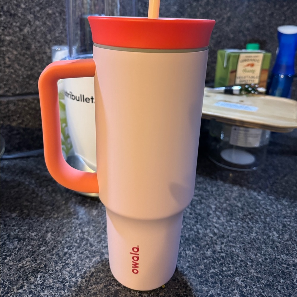 Pink and Red Insulated Tumbler with Handle